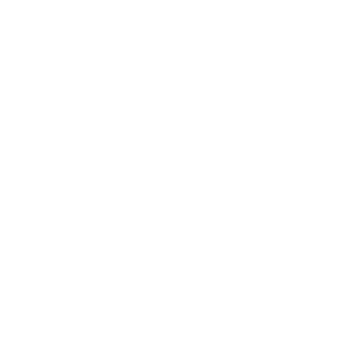 Government & municipal fleets
